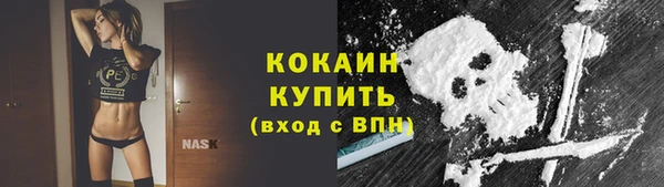 МДМА Бородино