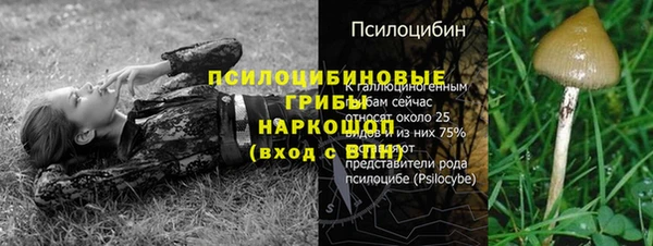 скорость Саяногорск