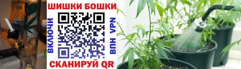 Каннабис THC 21%  ОМГ ОМГ как зайти  Медногорск  дарнет шоп 